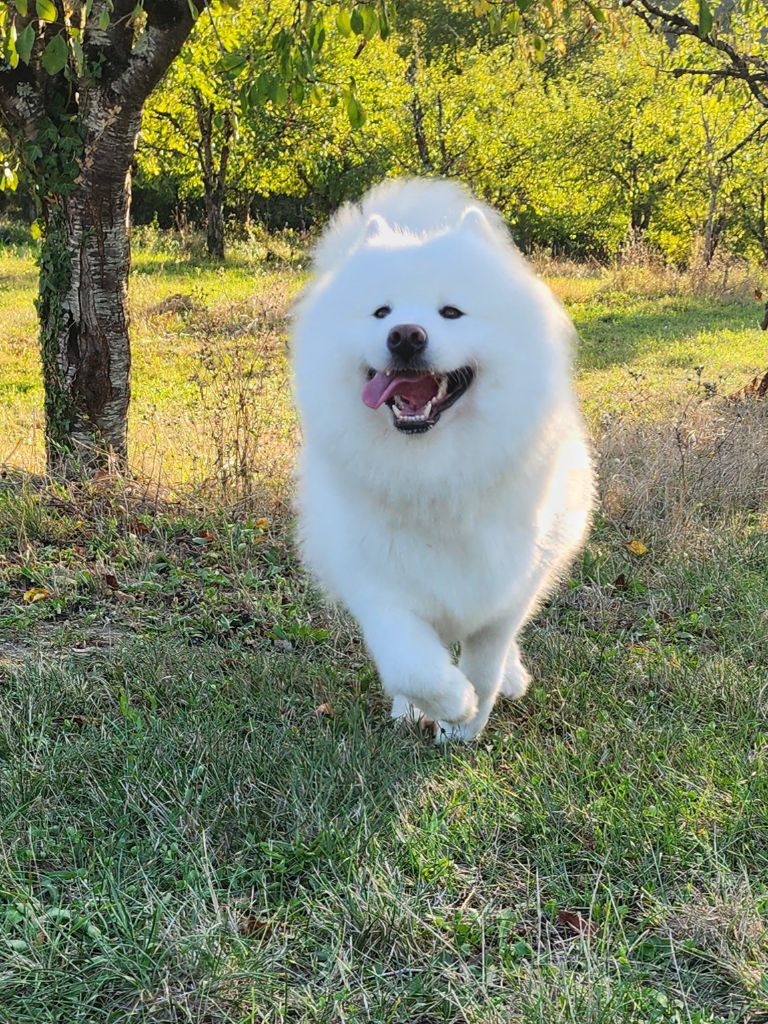 Soukie (Sans Affixe)