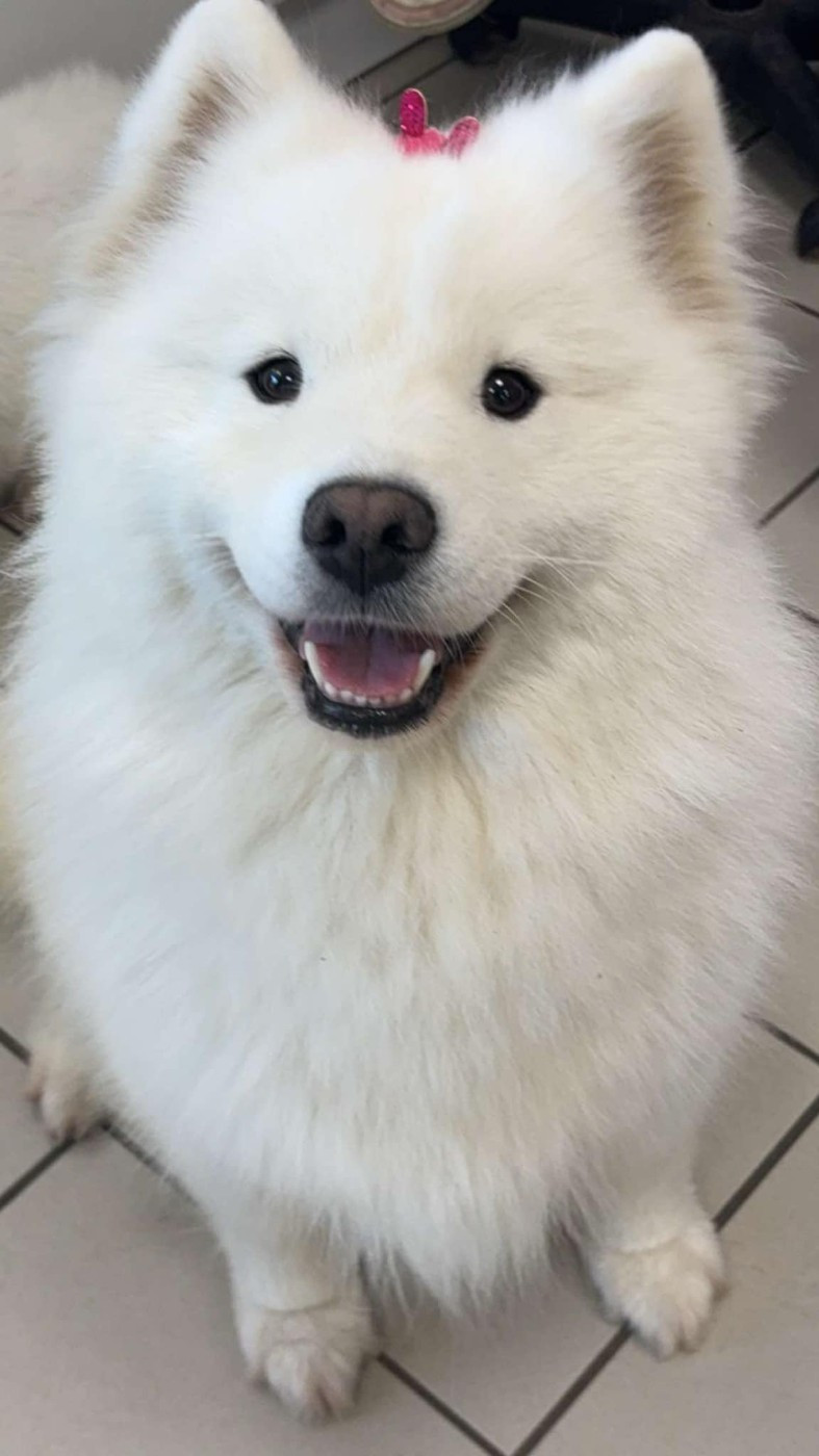 skinnie (Sans Affixe)